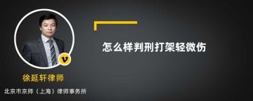 怎么样判刑打架轻微伤