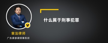 什么属于刑事犯罪