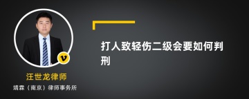 打人致轻伤二级会要如何判刑