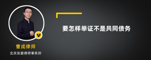 要怎样举证不是共同债务