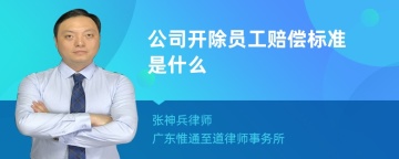 公司开除员工赔偿标准是什么