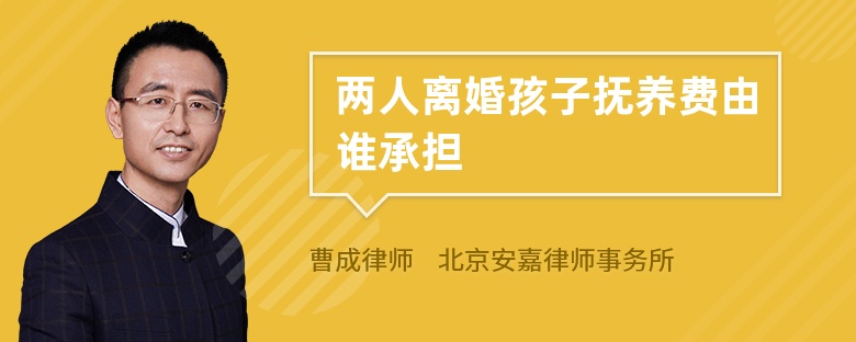 两人离婚孩子抚养费由谁承担