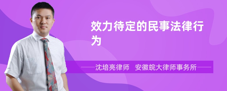 效力待定的民事法律行为