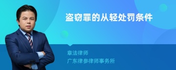 盗窃罪的从轻处罚条件