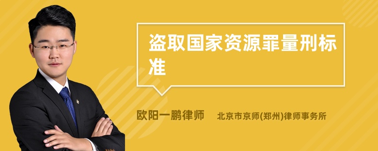 盗取国家资源罪量刑标准