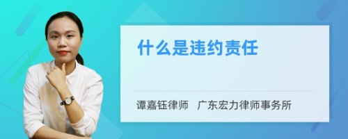 什么是违约责任