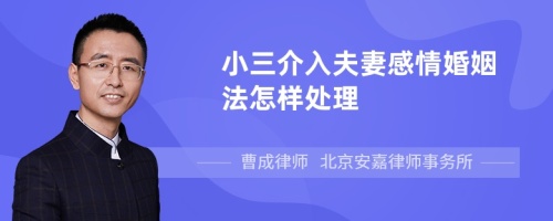 小三介入夫妻感情婚姻法怎样处理