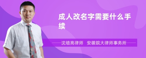 成人改名字需要什么手续