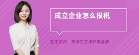 成立企业怎么报税