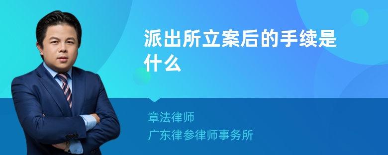 派出所立案后的手续是什么