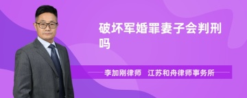 破坏军婚罪妻子会判刑吗