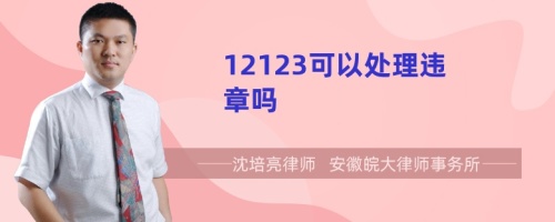 12123可以处理违章吗