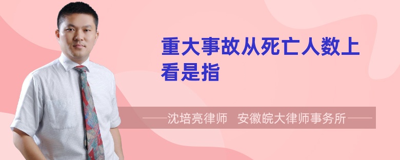 重大事故从死亡人数上看是指