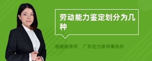 劳动能力鉴定划分为几种