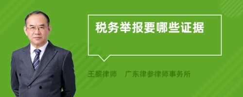 税务举报要哪些证据