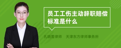 员工工伤主动辞职赔偿标准是什么