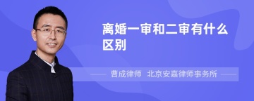 离婚一审和二审有什么区别