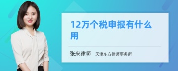 12万个税申报有什么用