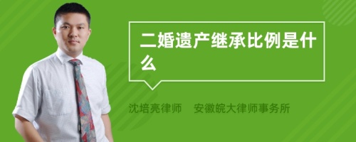 二婚遗产继承比例是什么