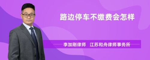 路边停车不缴费会怎样