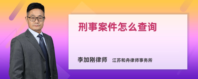 刑事案件怎么查询