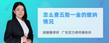 怎么查五险一金的缴纳情况