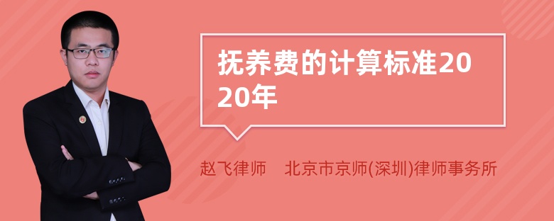 抚养费的计算标准2020年