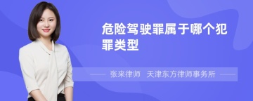 危险驾驶罪属于哪个犯罪类型