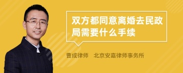 双方都同意离婚去民政局需要什么手续