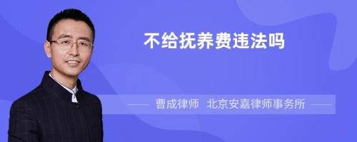 不给抚养费违法吗