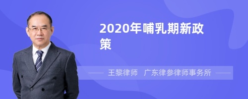 2020年哺乳期新政策