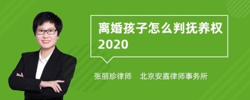 离婚孩子怎么判抚养权2020