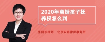 2020年离婚孩子抚养权怎么判