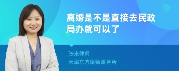 离婚是不是直接去民政局办就可以了