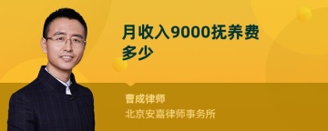 月收入9000抚养费多少