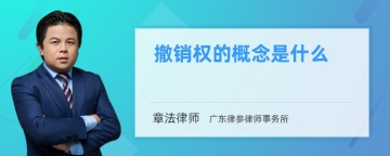 撤销权的概念是什么