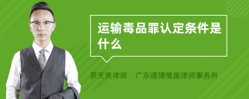 运输毒品罪认定条件是什么