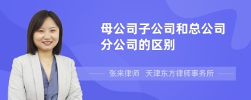 母公司子公司和总公司分公司的区别