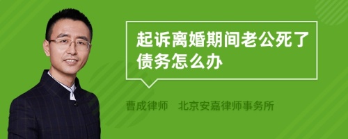 起诉离婚期间老公死了债务怎么办