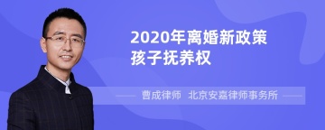 2020年离婚新政策孩子抚养权