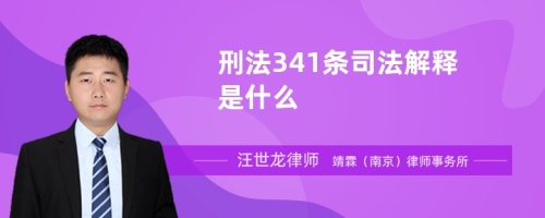 刑法341条司法解释是什么