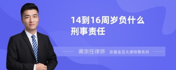 14到16周岁负什么刑事责任