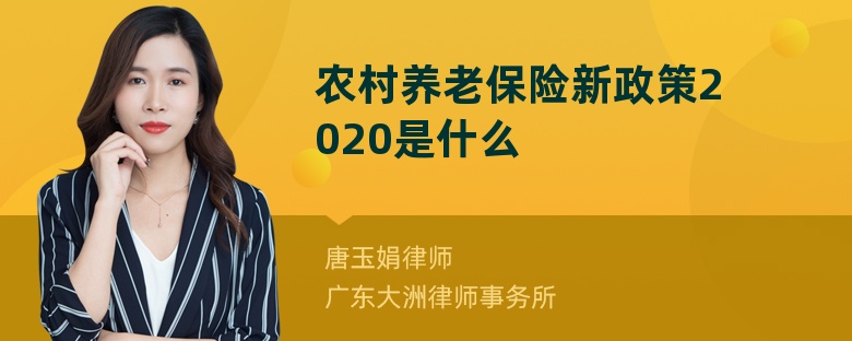 农村养老保险新政策2020是什么