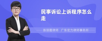 民事诉讼上诉程序怎么走