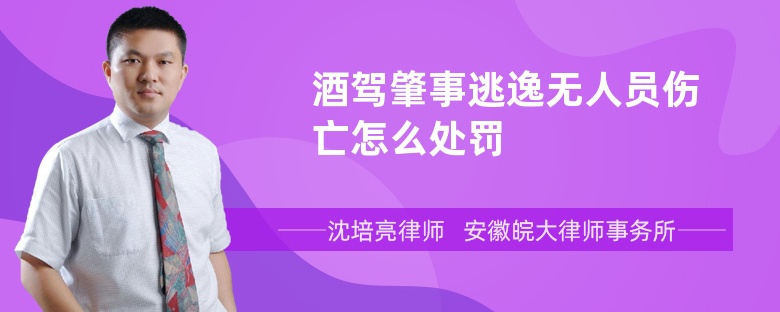 酒驾肇事逃逸无人员伤亡怎么处罚