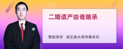 二婚遗产由谁继承