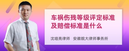 车祸伤残等级评定标准是什么