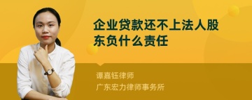 企业贷款还不上法人股东负什么责任