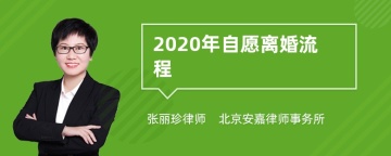 2020年自愿离婚流程