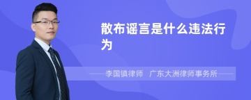 散布谣言是什么违法行为